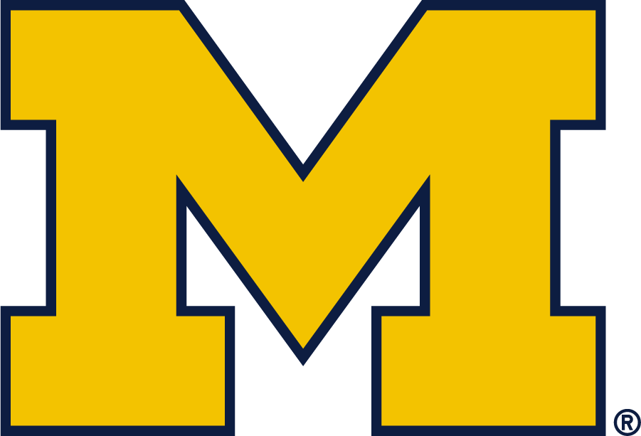 Michigan Wolverines 2016-Pres Alternate Logo iron on transfers for clothing